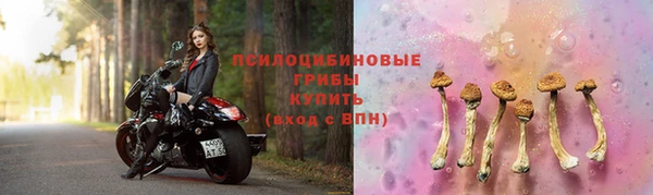 соль курить ск Белокуриха