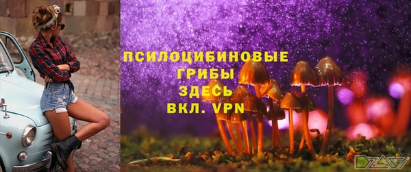 твердый Белоозёрский