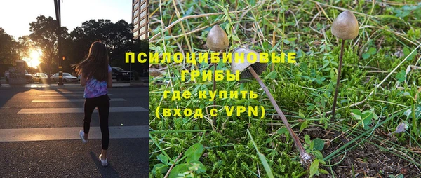 эйфоретик Богородицк